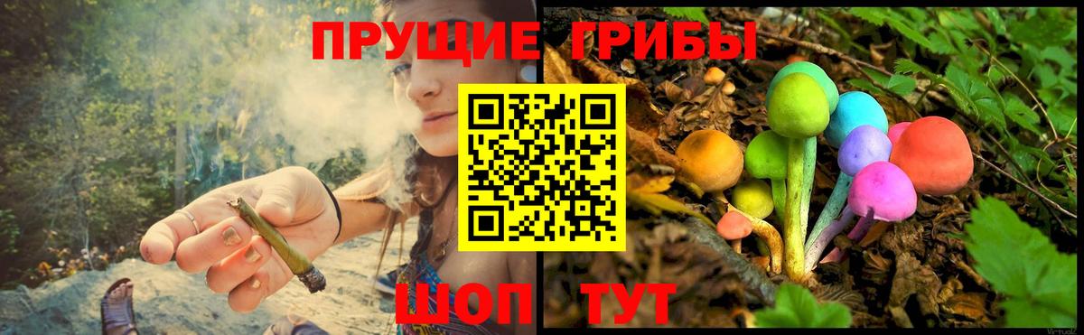 Вологда  Галлюциногенные грибы GOLDEN TEACHER  Вход с VPN 